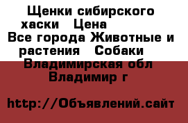Щенки сибирского хаски › Цена ­ 12 000 - Все города Животные и растения » Собаки   . Владимирская обл.,Владимир г.